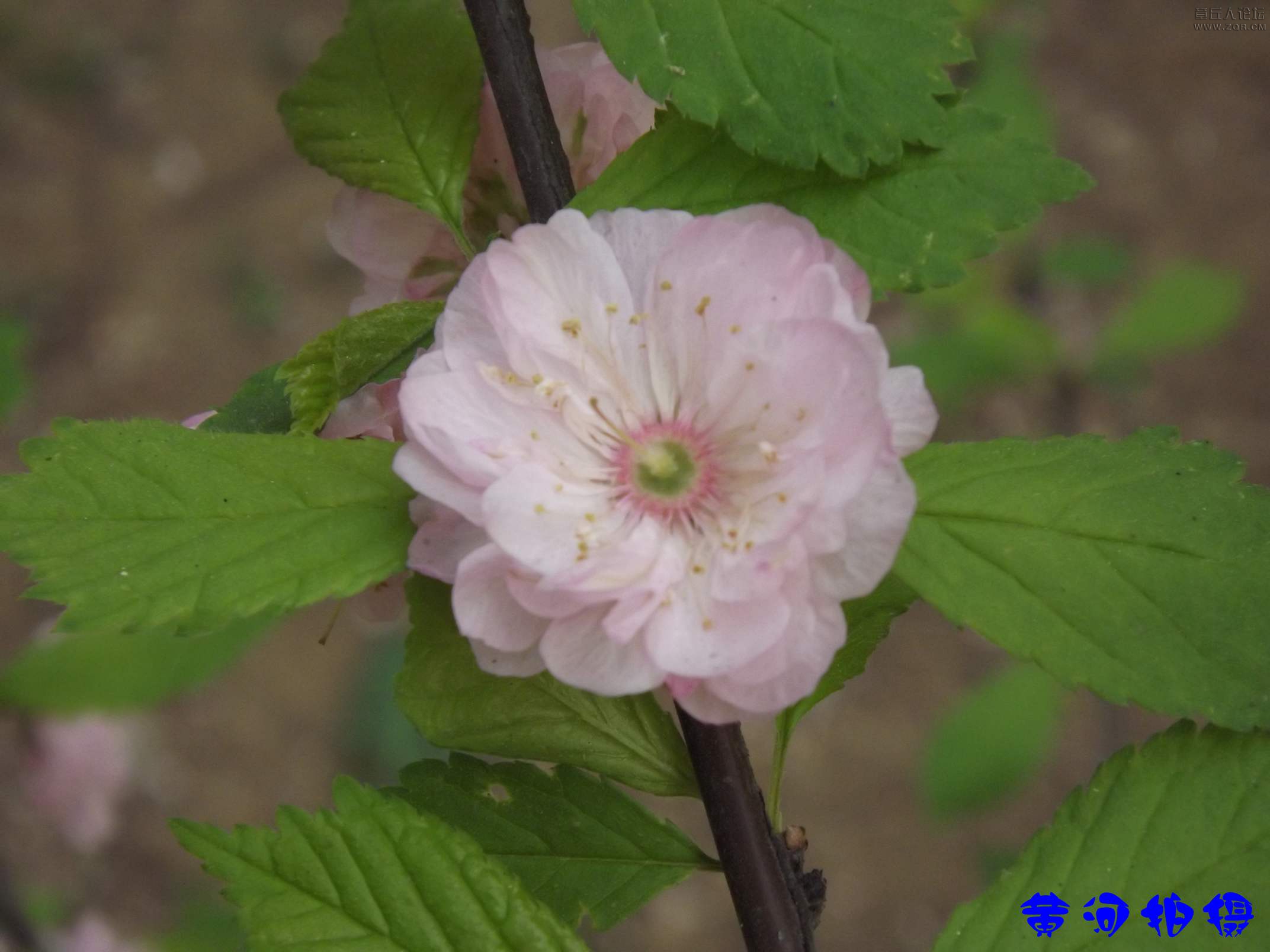 DSCF7845.JPG
