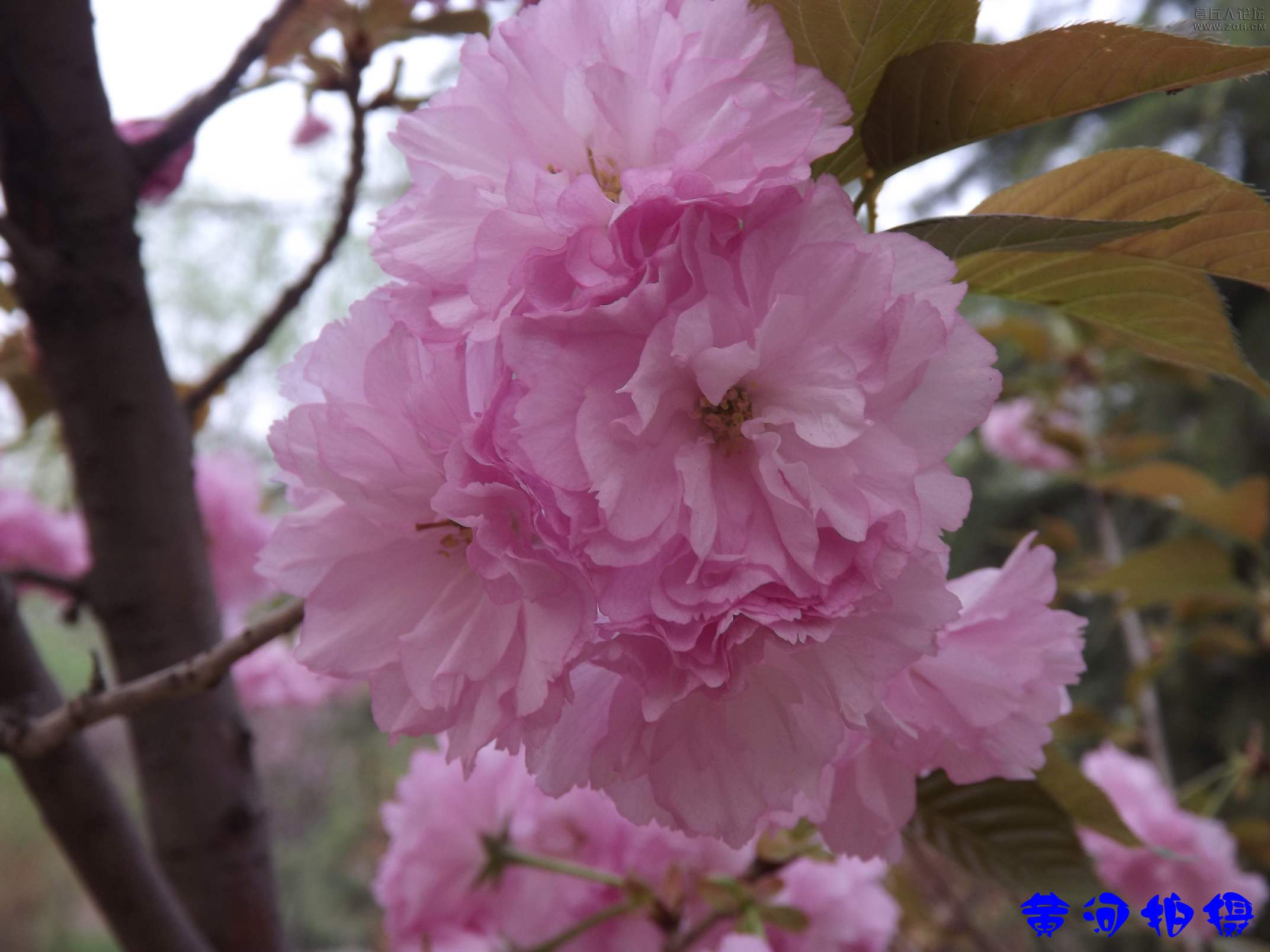 DSCF7846.JPG