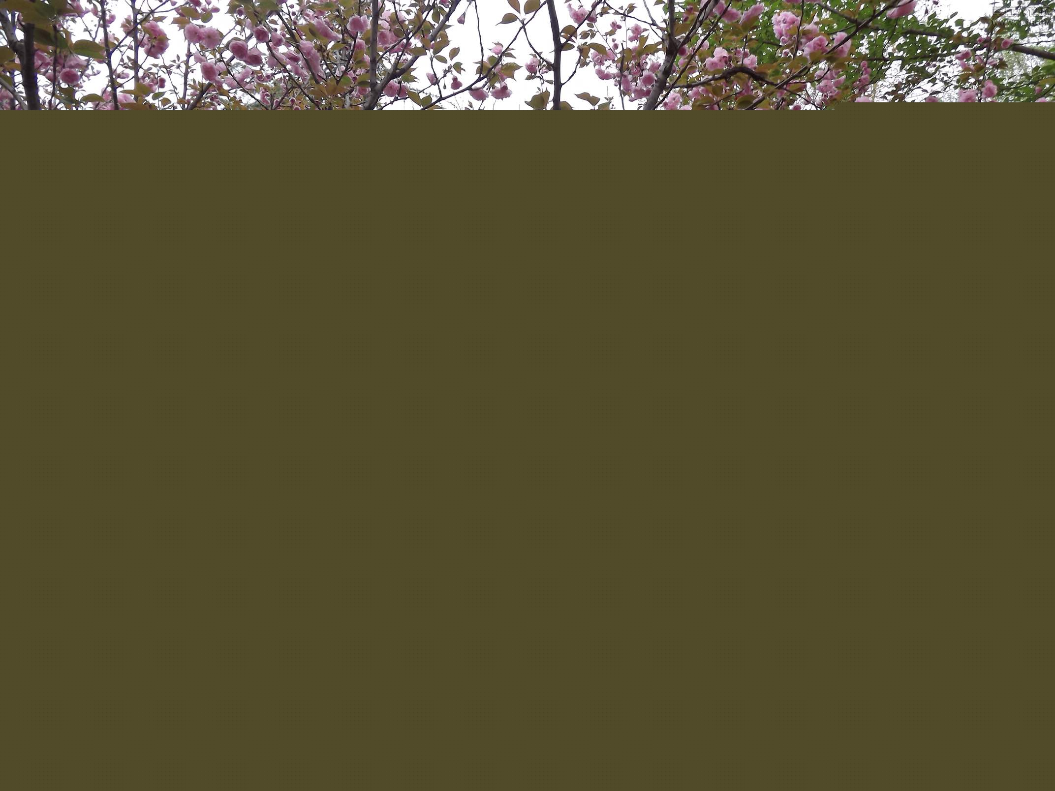 DSCF7851.JPG
