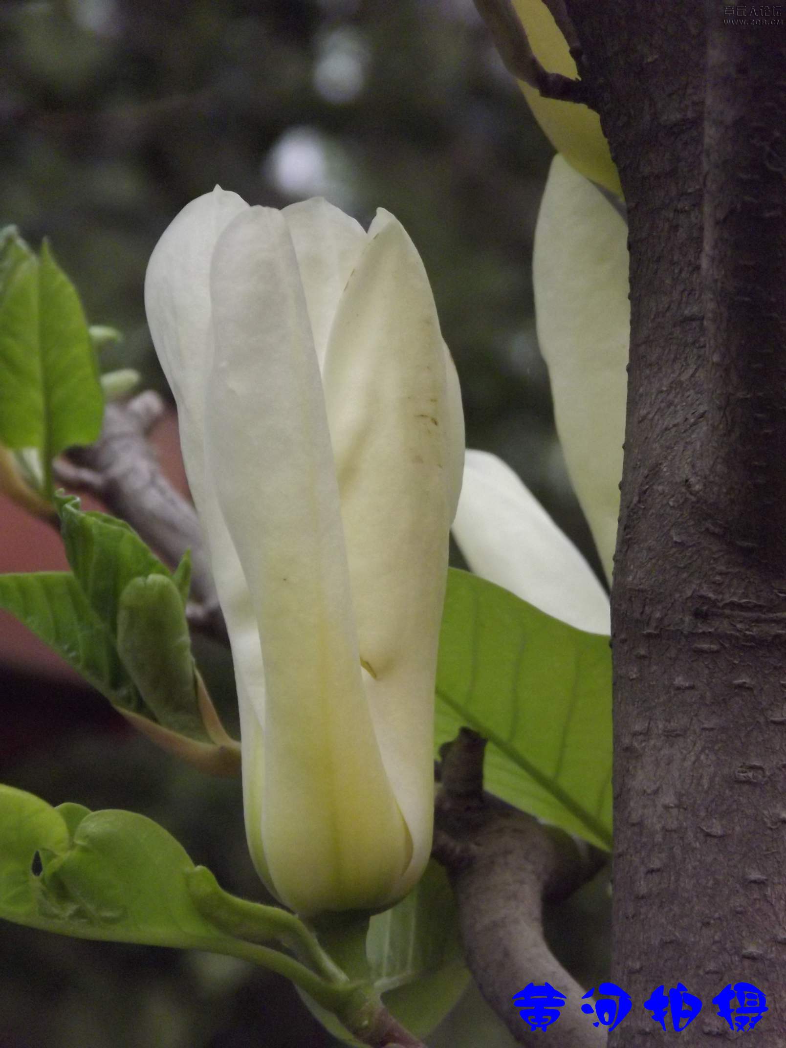 DSCF7854.JPG