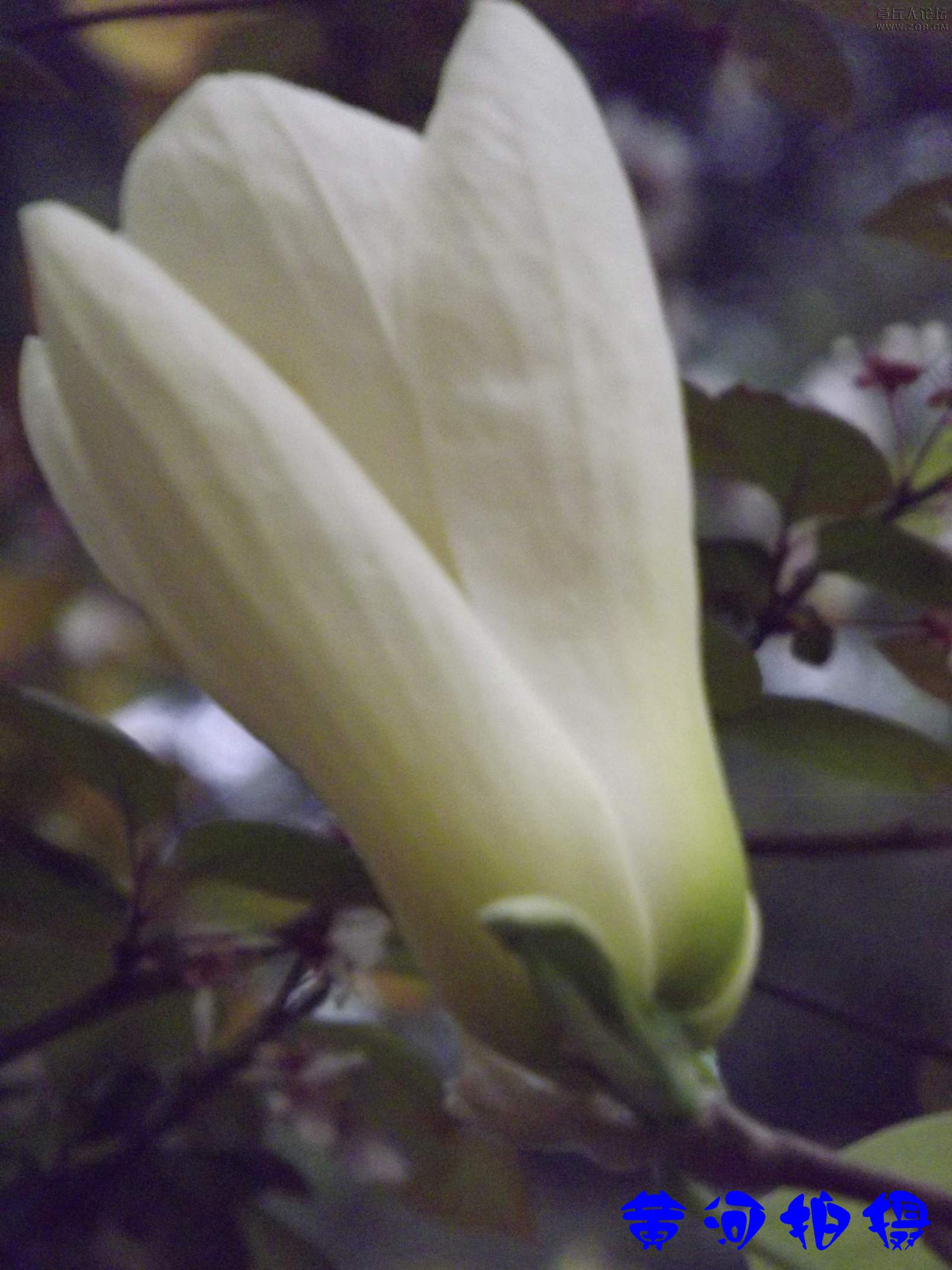 DSCF7858.JPG