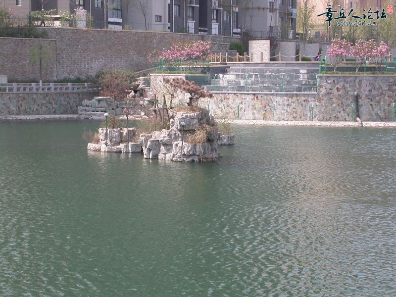 DSCN0377.JPG