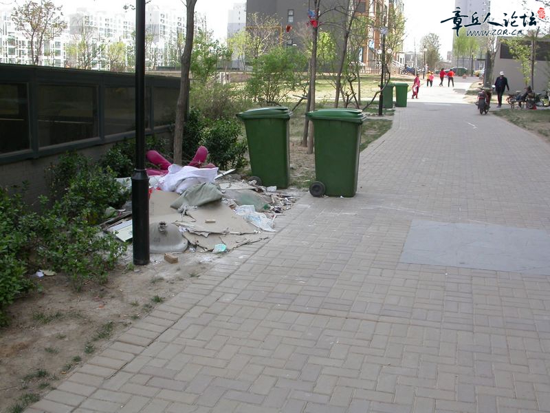 DSCN0392.JPG