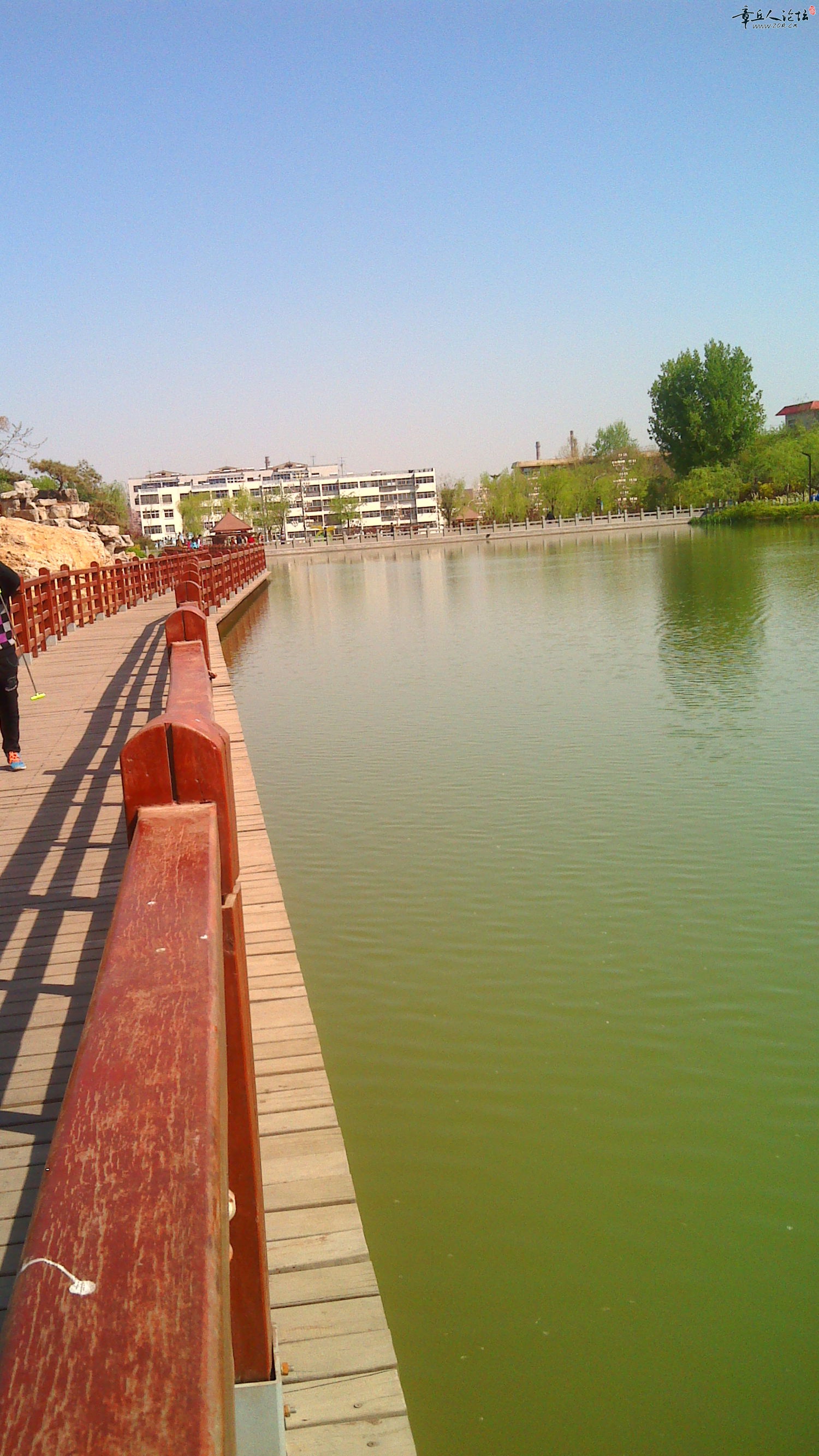 IMG_20140405_095006.jpg