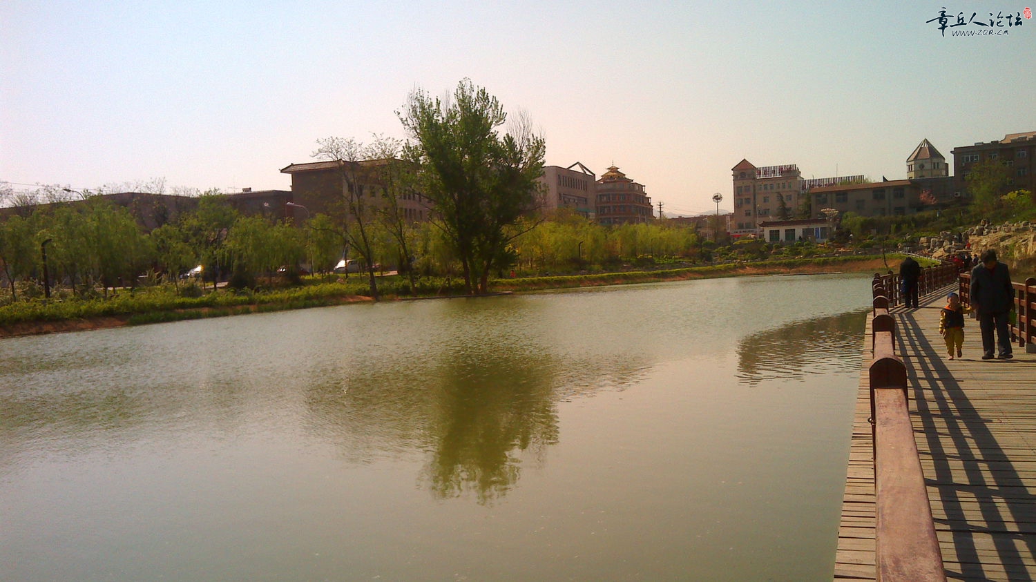 IMG_20140405_095602.jpg