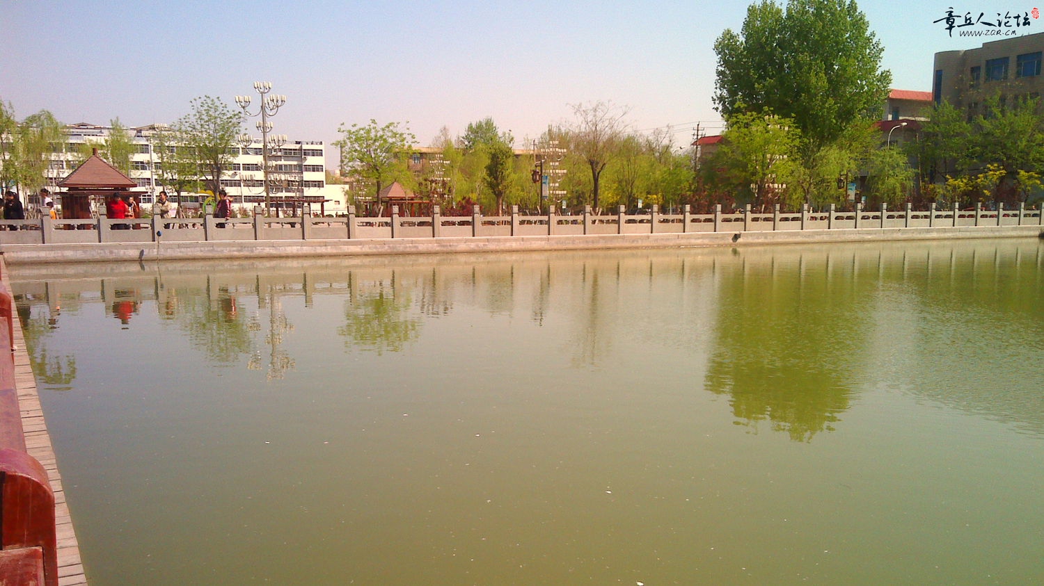 IMG_20140405_095608.jpg