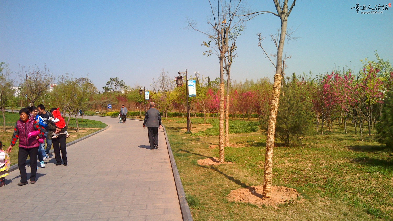 IMG_20140405_095813.jpg