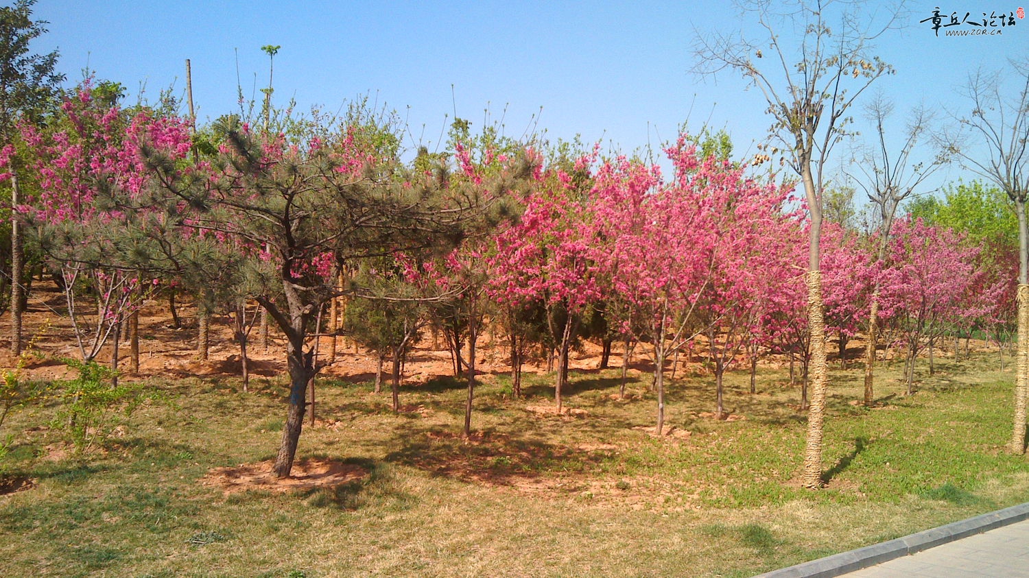 IMG_20140405_095805.jpg