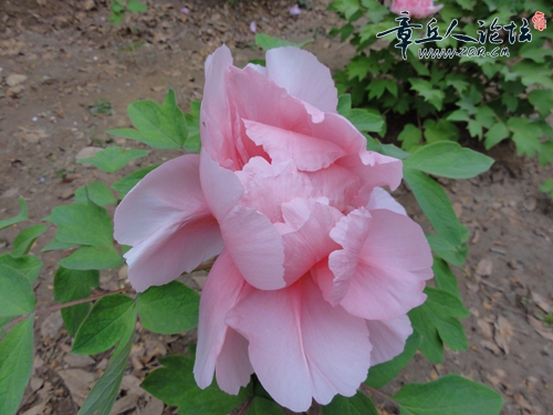 DSC03208.JPG