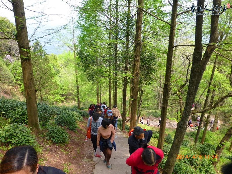 P1020119_副本.jpg