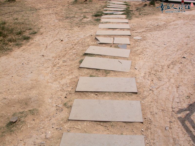 DSCN0360.JPG