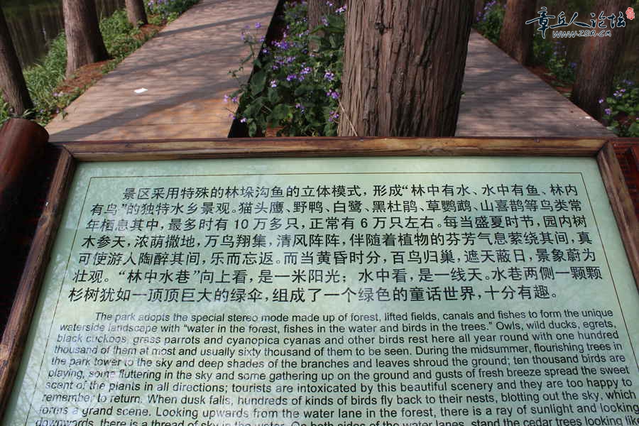 照片 599.jpg