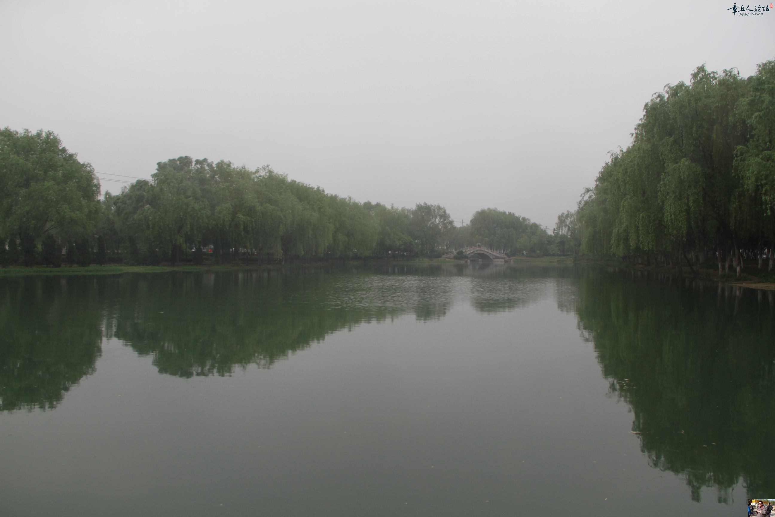 IMG_5281.JPG