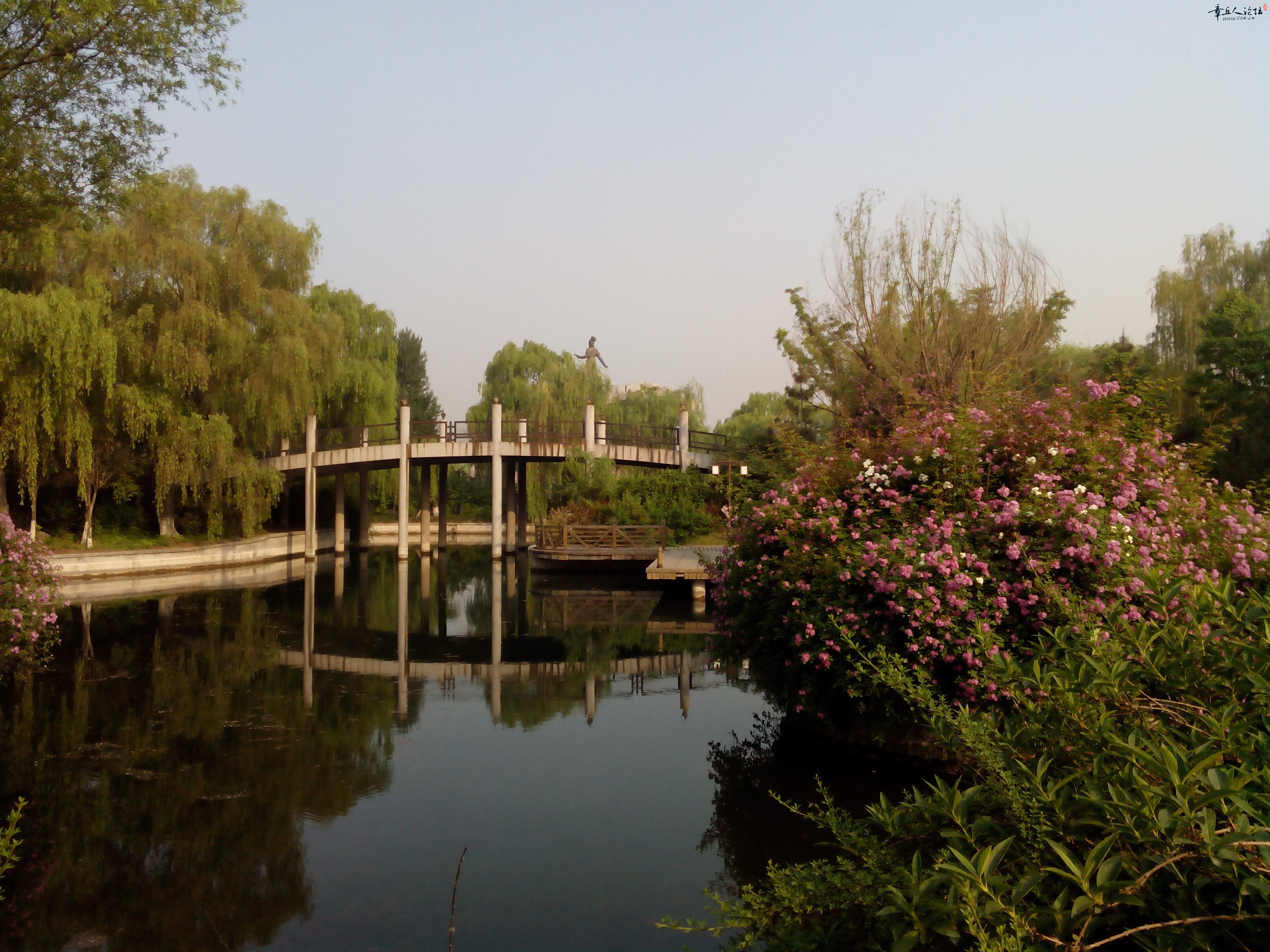 IMG_20140430_072822.jpg