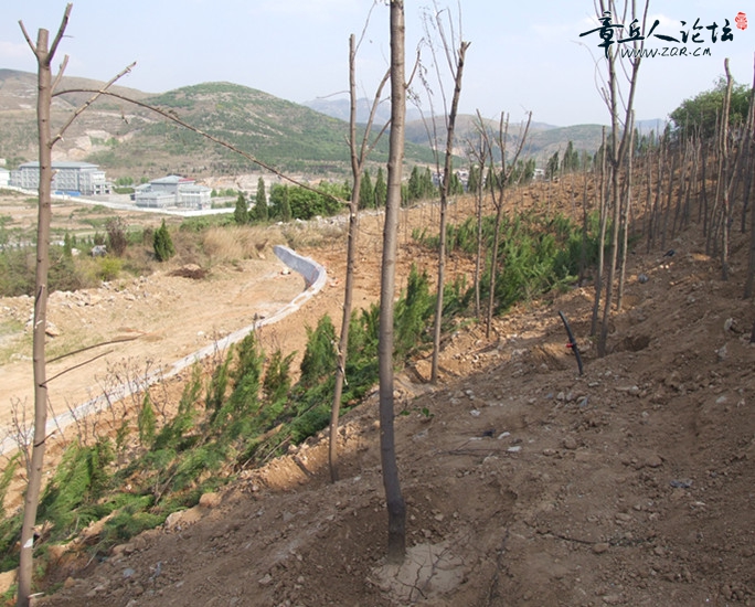 破损山体治理_副本.jpg