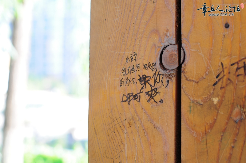 DSC_3478_副本.jpg