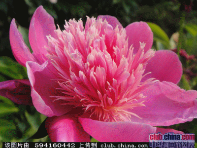 1399186647084.gif