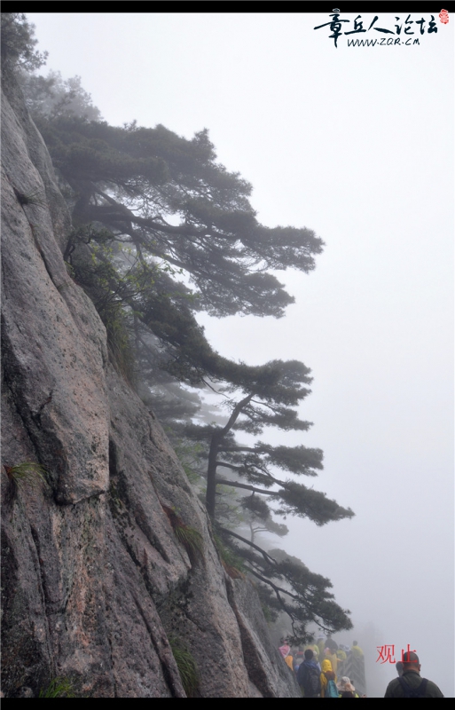 DSC_0080.jpg