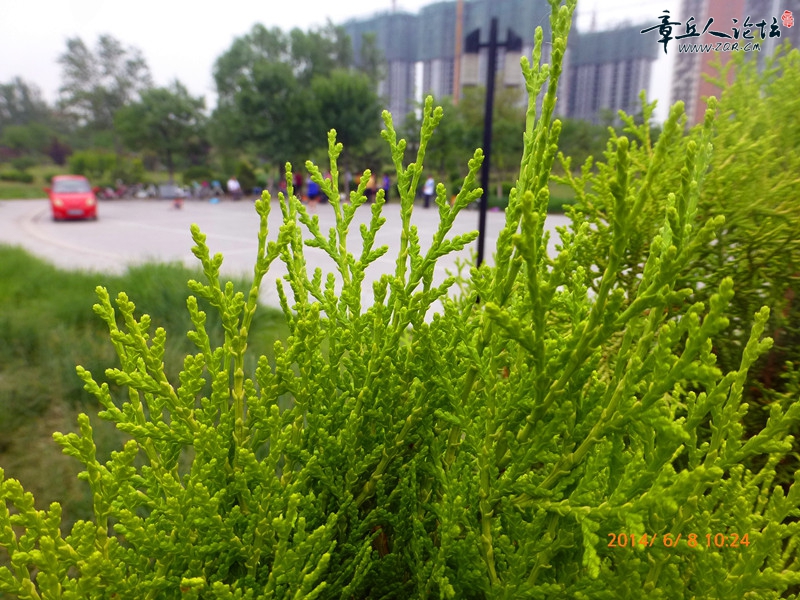 P1020648_副本.jpg