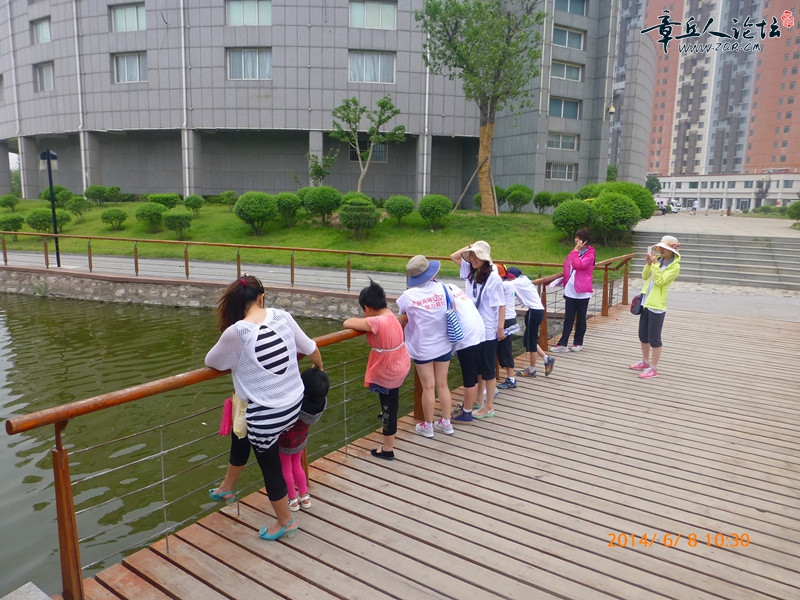 P1020656_副本.jpg