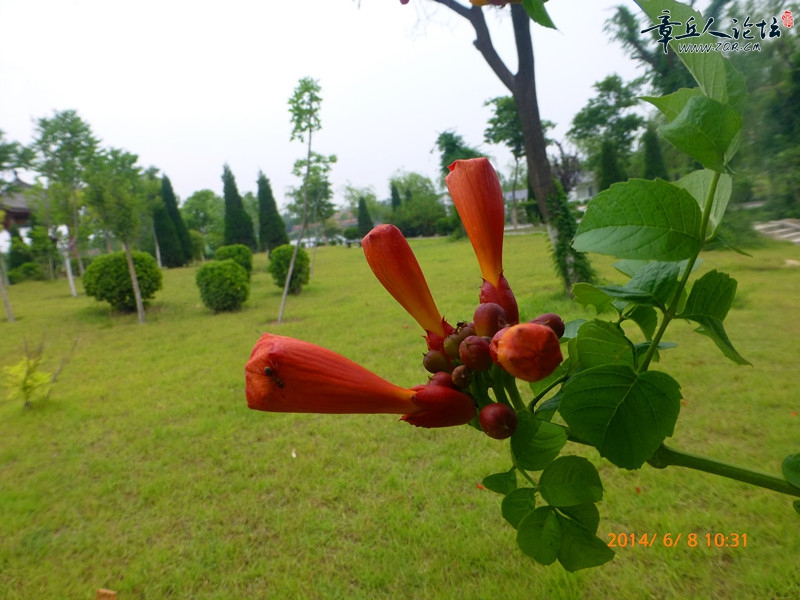 P1020659_副本.jpg