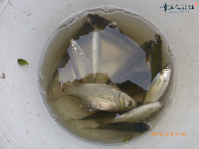 P1020692_副本.jpg
