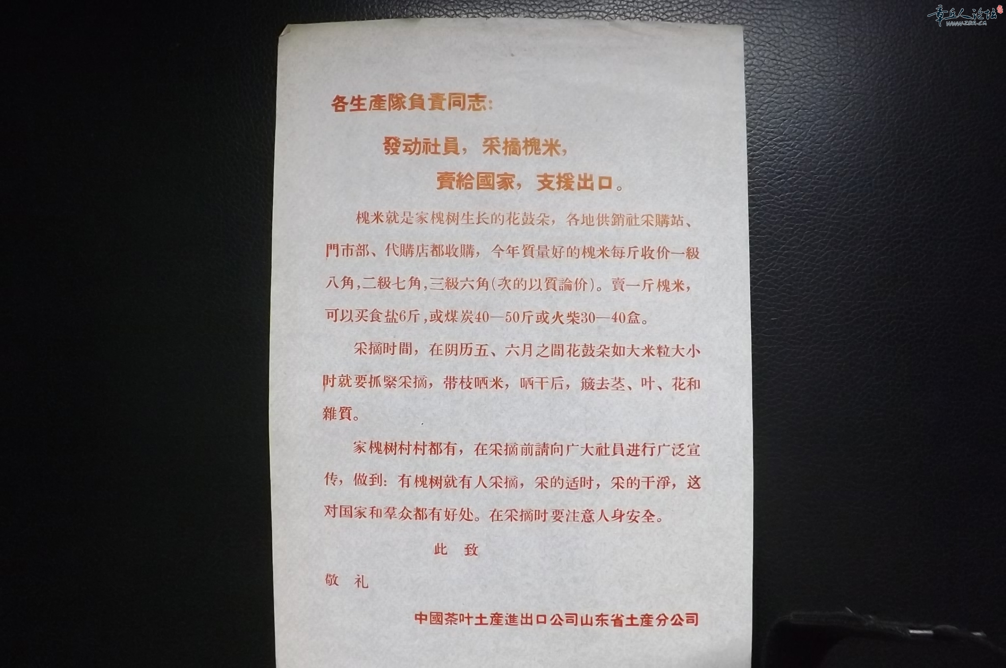 DSCF2176.JPG