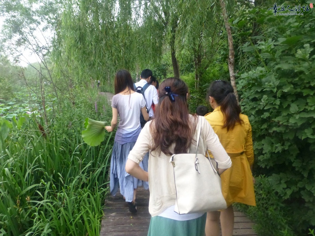 P1030142_副本.jpg