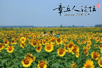 u=1286394256,2177192123&amp;fm=21&amp;gp=0.jpg
