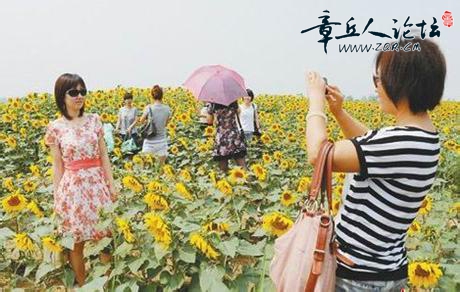 u=1603945820,2390686038&amp;fm=23&amp;gp=0.jpg