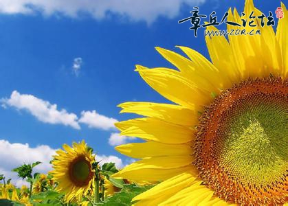 u=3029868291,61263396&amp;fm=23&amp;gp=0.jpg