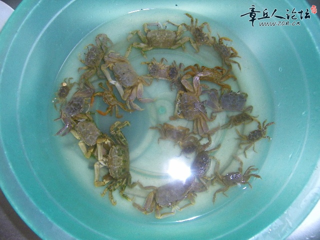 12b54d9aa9eg213.jpg