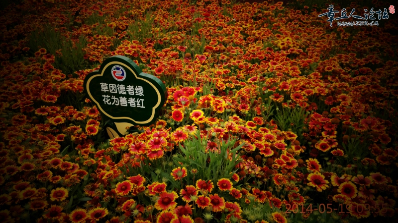 163805nqen8tkkfnbyw7lz.jpg