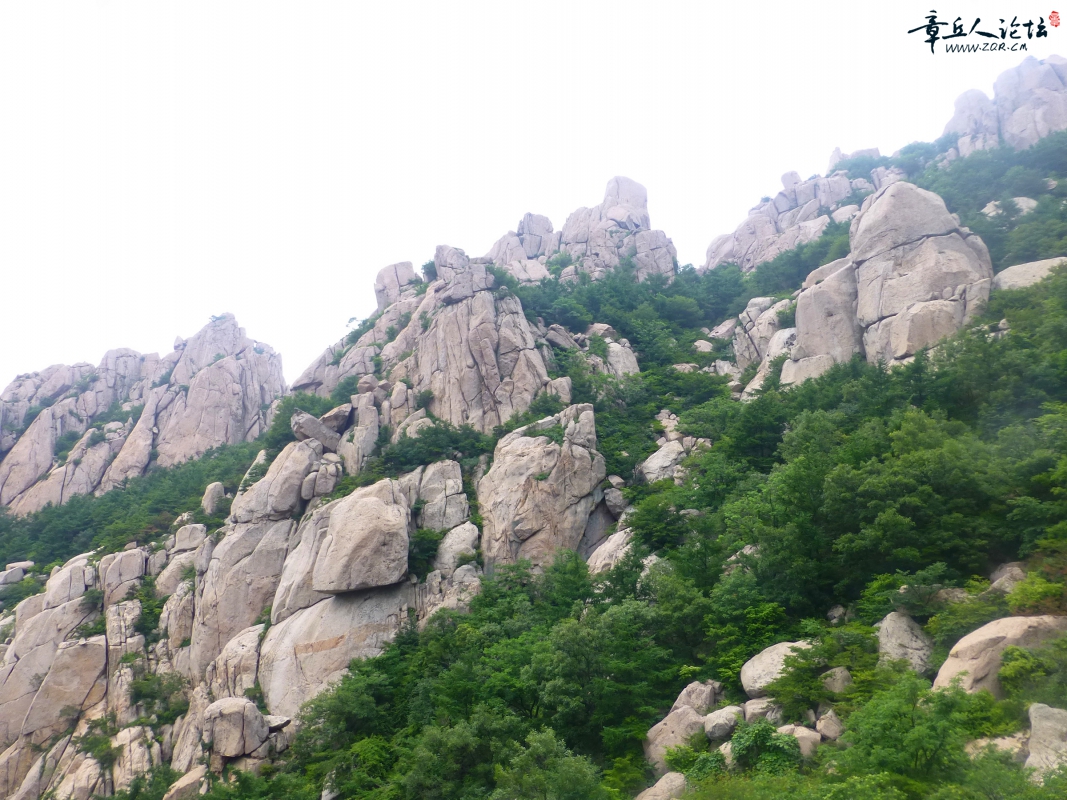 P1030536_副本.jpg