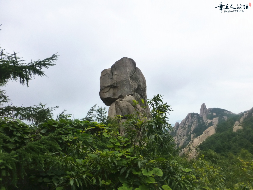 P1030537_副本.jpg