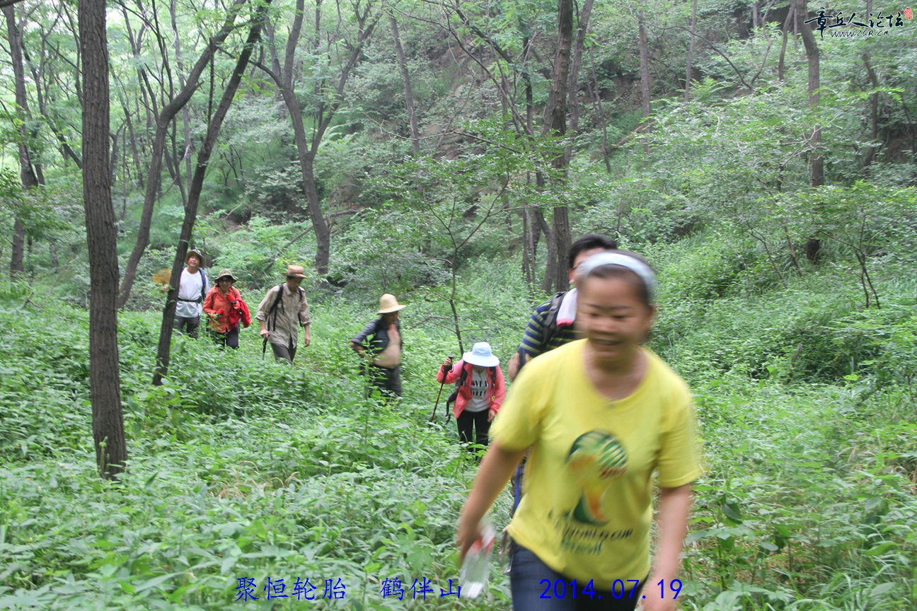 IMG_7984.JPG