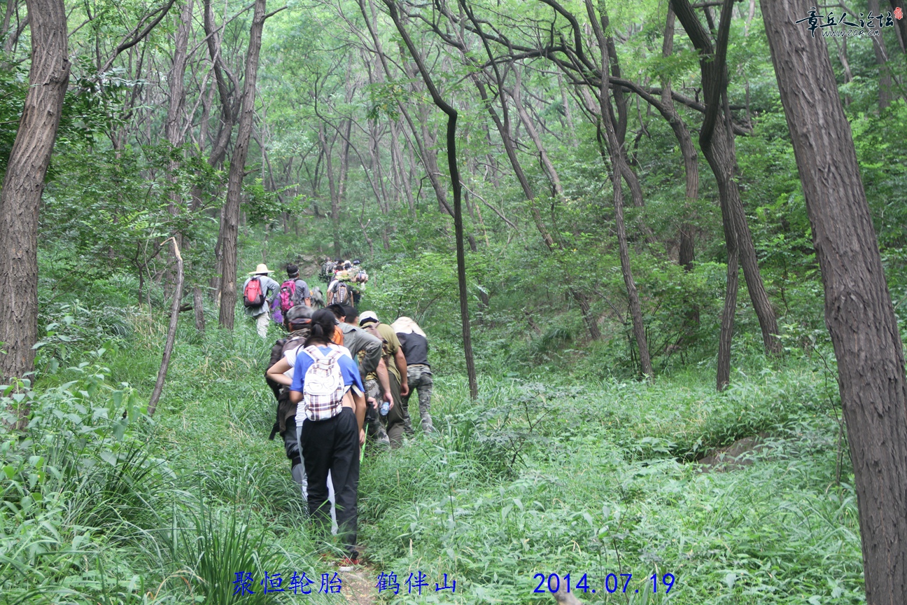 IMG_7986.JPG