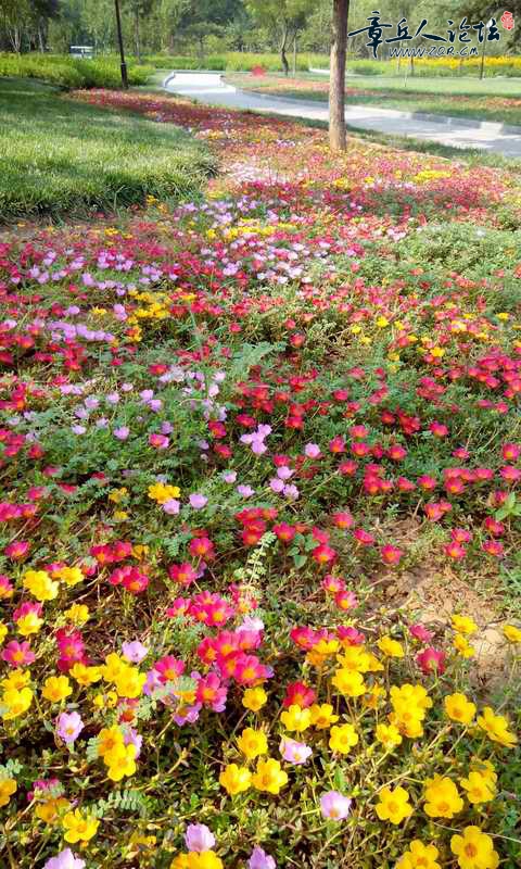 IMG_20140713_085126_650.jpg