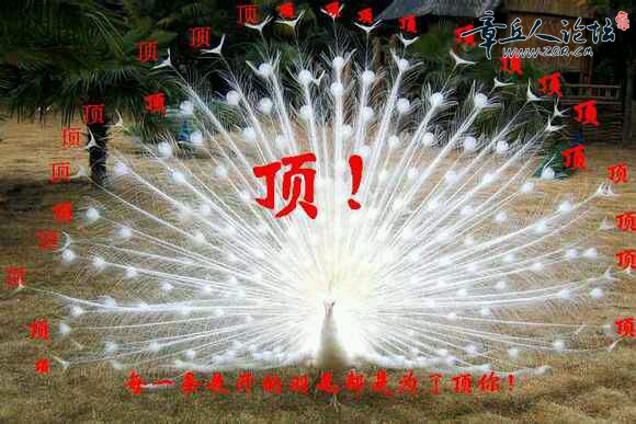 b03533fa828ba61ef3a5a8864034970a314e59cb.jpg