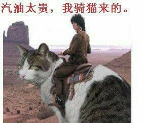 QQ图片20140706193814.jpg