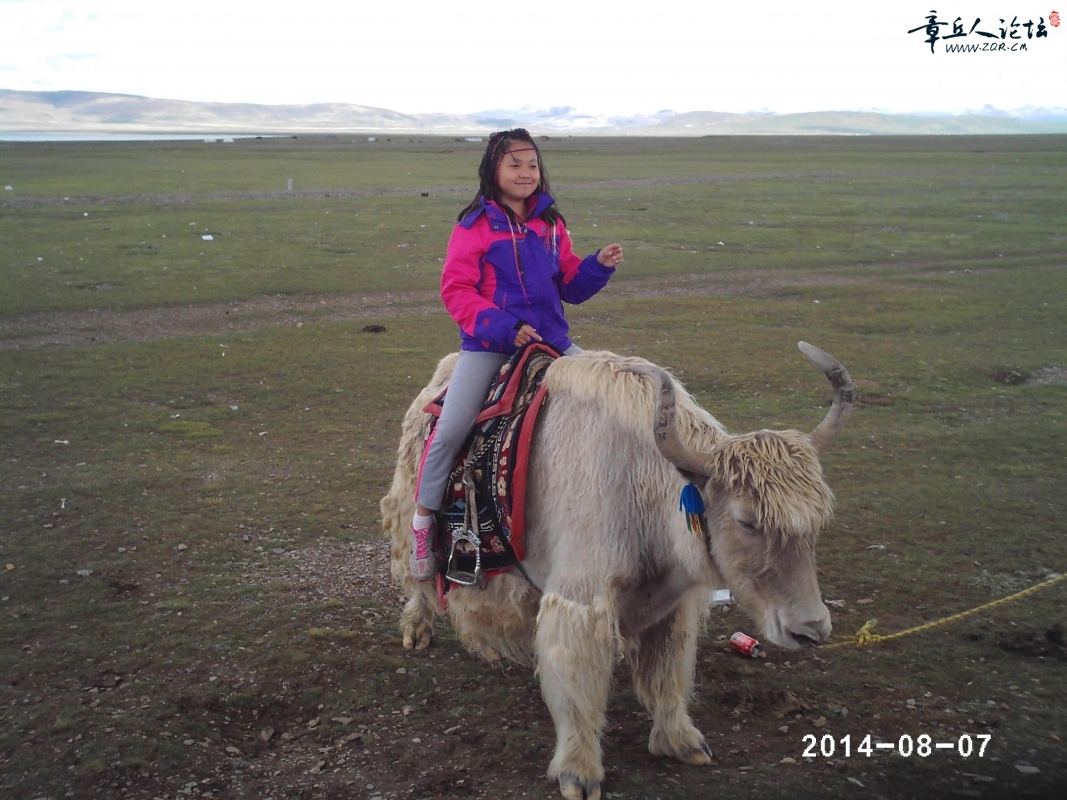 PHTO0709.JPG