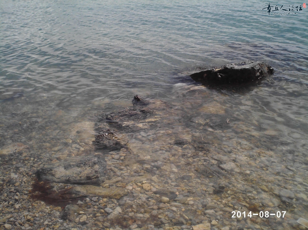 PHTO0730.JPG