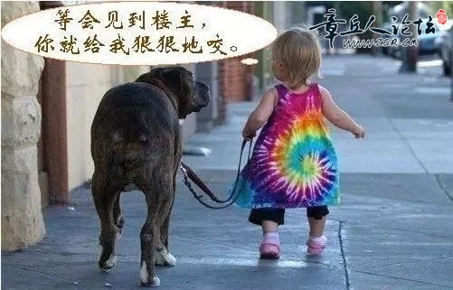 dL2rEnNIFgAA&bo=9QFBAQAAAAAFAJc!&rf=viewer_4.jpg