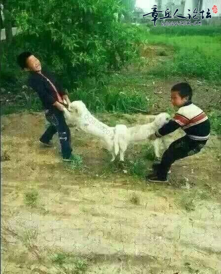 QQ图片20140909113431.jpg