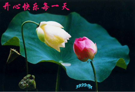 dMfLqldOBQAA&bo=wgE1AQAAAAACCtk!&rf=viewer_4.jpg
