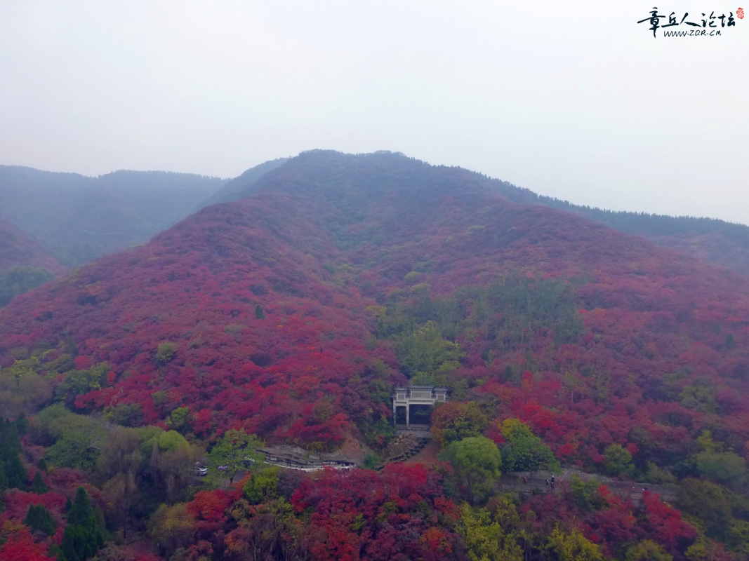 P1040373_副本.jpg