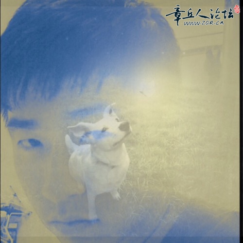 image.jpg