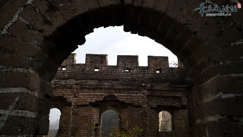 IMG_20141025_133309_副本.jpg