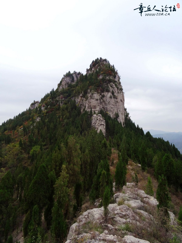nEO_IMG_DSC07248.jpg
