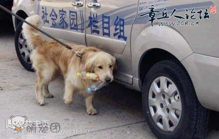 145438pbwjvfb1b6hy7wkj.jpg